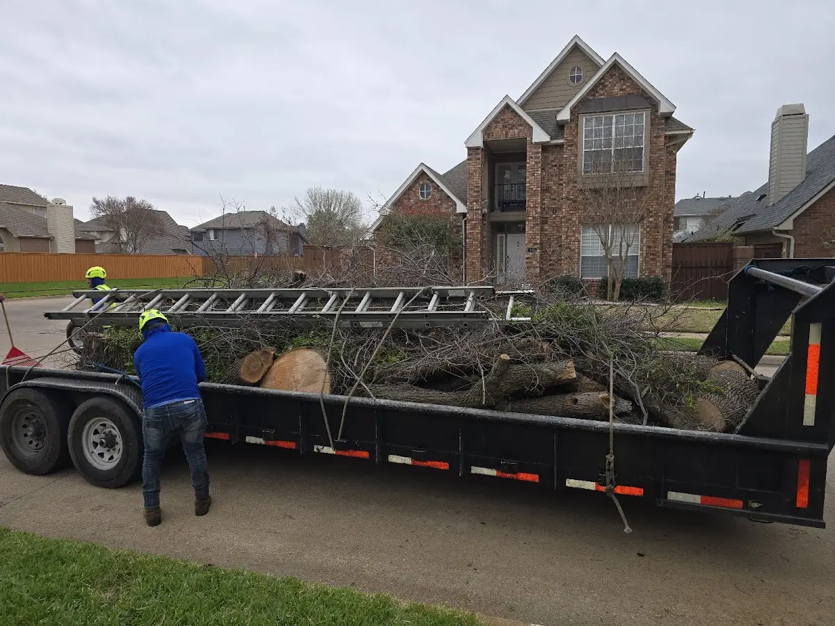 Expert Tree Fertilization with proper safety equipment in Wesley